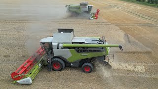 CLAAS LEXION 6600 & CLAAS LEXION 8700TT am Gerste dreschen / Abfahrer FENDT 724 / 4K