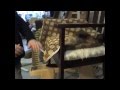 How to Upholster: Padding A Chair