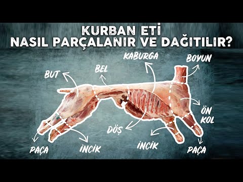 Video: Turp Nasıl Doğru şekilde Saklanır