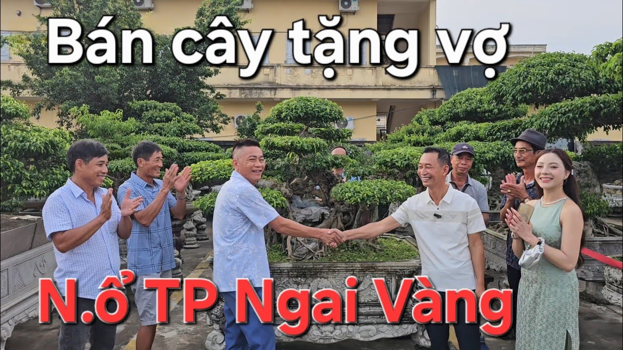 Bất ngờ N.ổ cây Ngai Vàng làm rung chuyển Thái Bình 