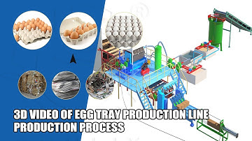 3D Video Of Egg Tray Production Line | Egg Tray Making Business