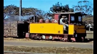 Bundaberg Sugar Tramway Narrow Gauge Steam Locomotives 1965