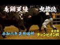 宇和島闘牛 令和六年正月場所 重量級チャンピオン戦 曳龍號vs竜翔天陸