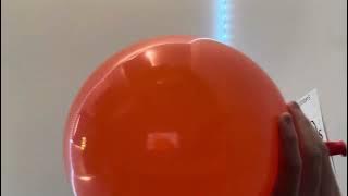 Balloon episode 🎈108338