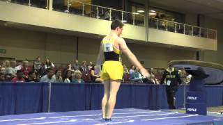 Dmitri Belanovski - Vault - 2015 Winter Cup Prelims