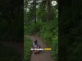 Elite X 2.0: 8 km/h pure Kraft am Berg! 🤯 🚀 #shorts
