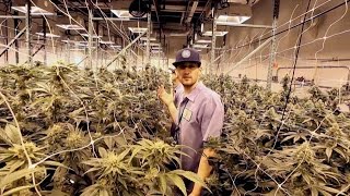 Inside Advanced Grow Labs