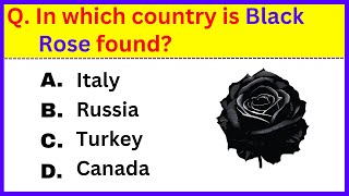 The REAL Secret to ACING General Knowledge Quizzes Revealed