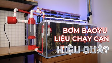Test Thử Bơm BAOYU BY-10X Chạy Cạn Kết Hợp Ống Lắng - Liệu Có Hiệu Quả? (Phần 1 - Giới thiệu)