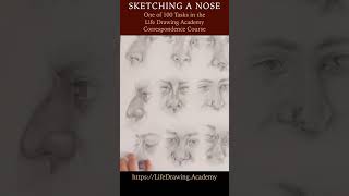 Sketching a Nose