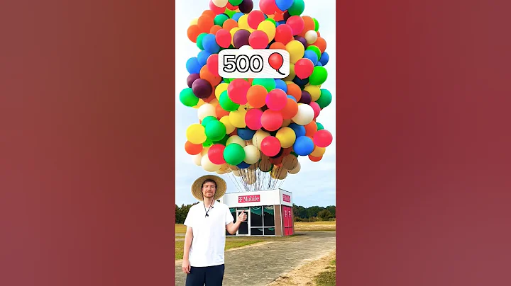 How Many Balloons To Make A Store Fly?