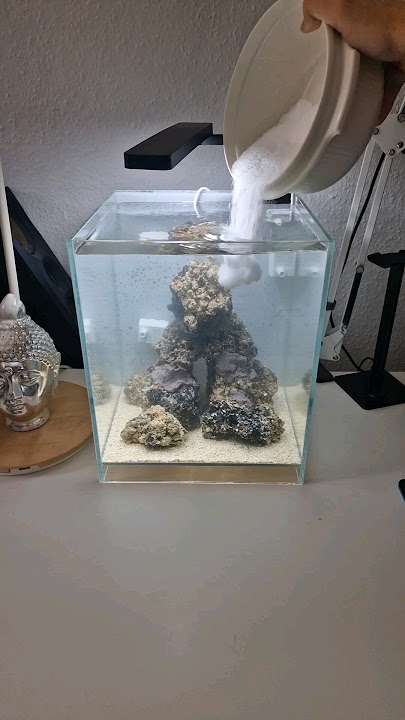 Let's finally make it a salt water aquarium 🧂#aquarium #reef #aquascape #reeftank #coral