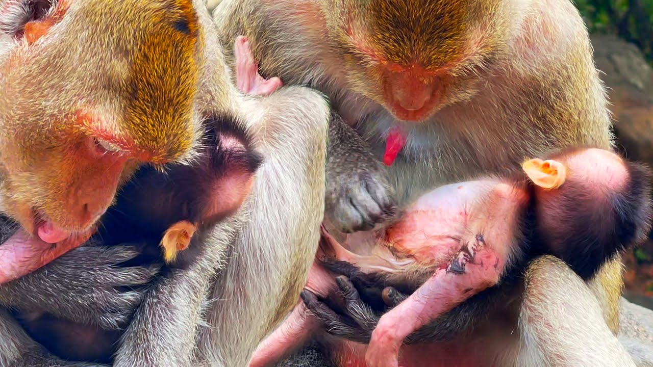 Mommy take cake her baby.