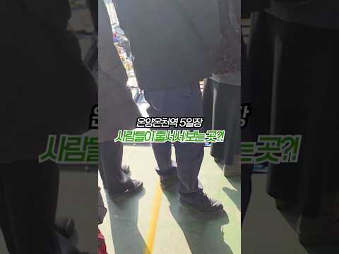 MZ들은 모르는 골동품 판매점ㅋㅋㅋ