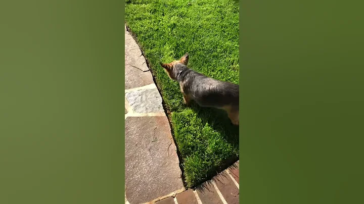 A beautiful day to be outside with some of the cri...