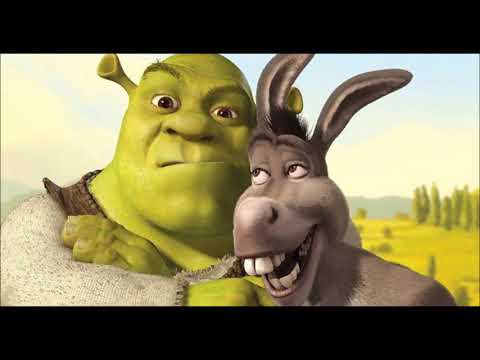 Whistlin Donkeys - Bees Wing
