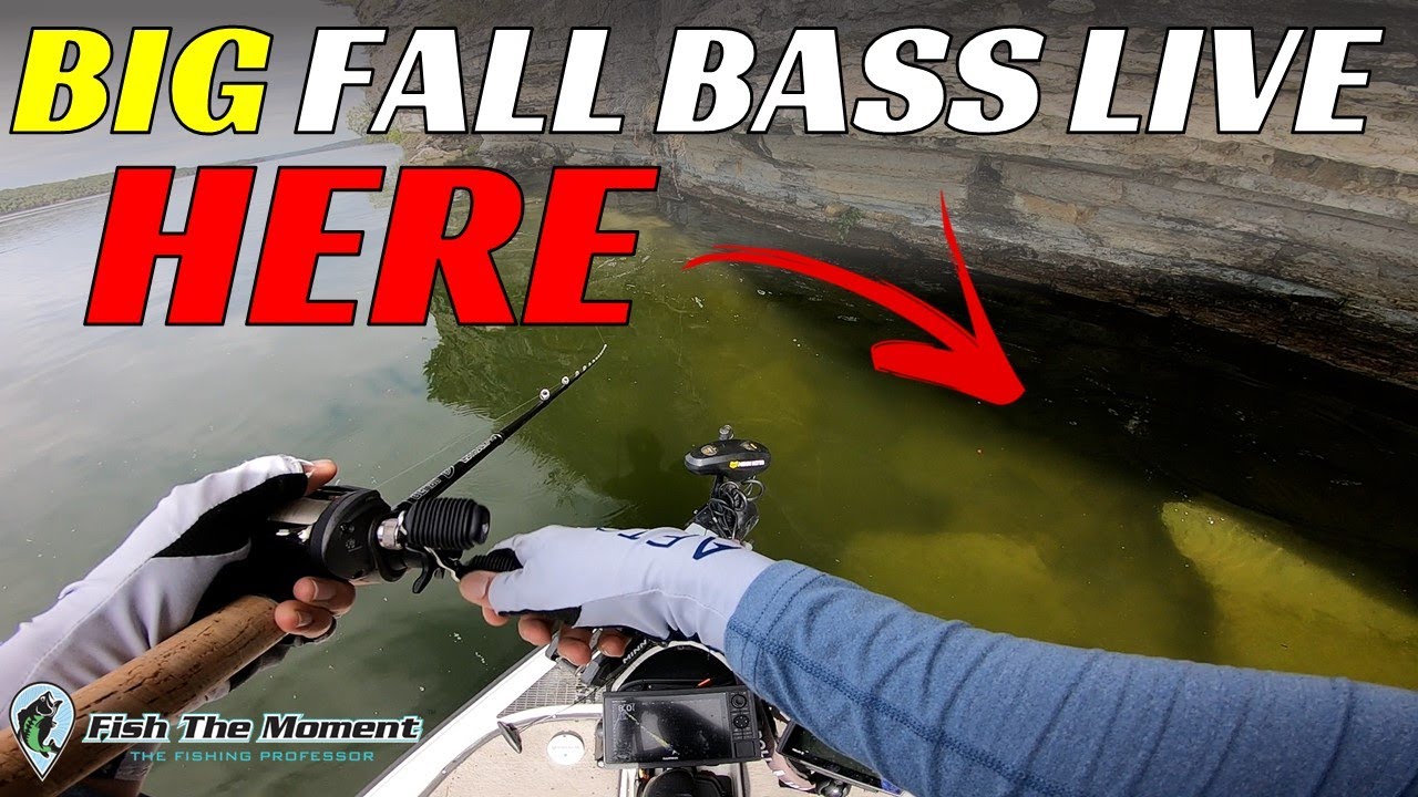Don’t Overlook These Deadly Fall Bass Fishing Banks