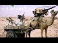 دمه قديمه من عام ١٣٥٠ تقريبا دمه قديمه من عام ١٣٥٠ تقريبا