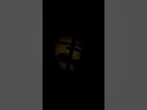 Шиншыла - YouTube