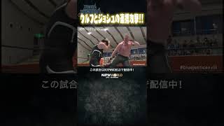 新日本プロレス『永田裕志 Produce Blue Justice XVIII ～青義進陸～』(6.20) ウルフとジョシュの連携攻撃！！ #shorts