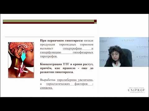 Первичный, вторичный, третичный и периферический гипотиреоз