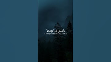 سورة الحجرات ١٠  Surah Al-Hujurat 10