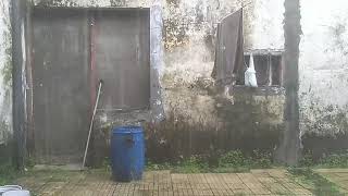 Download Lagu Kumpulan Lagu Pop Hits Viral 2000an Drive Vagetoz Revublik Hijau daun Firman MP3