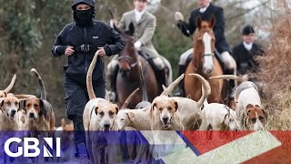 ‘This is an ATTACK on a way of life!’ | Calls for ban on fox hunting blasted by Bonner