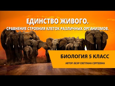 Единство живого. Сравнение строения клеток различных организмов