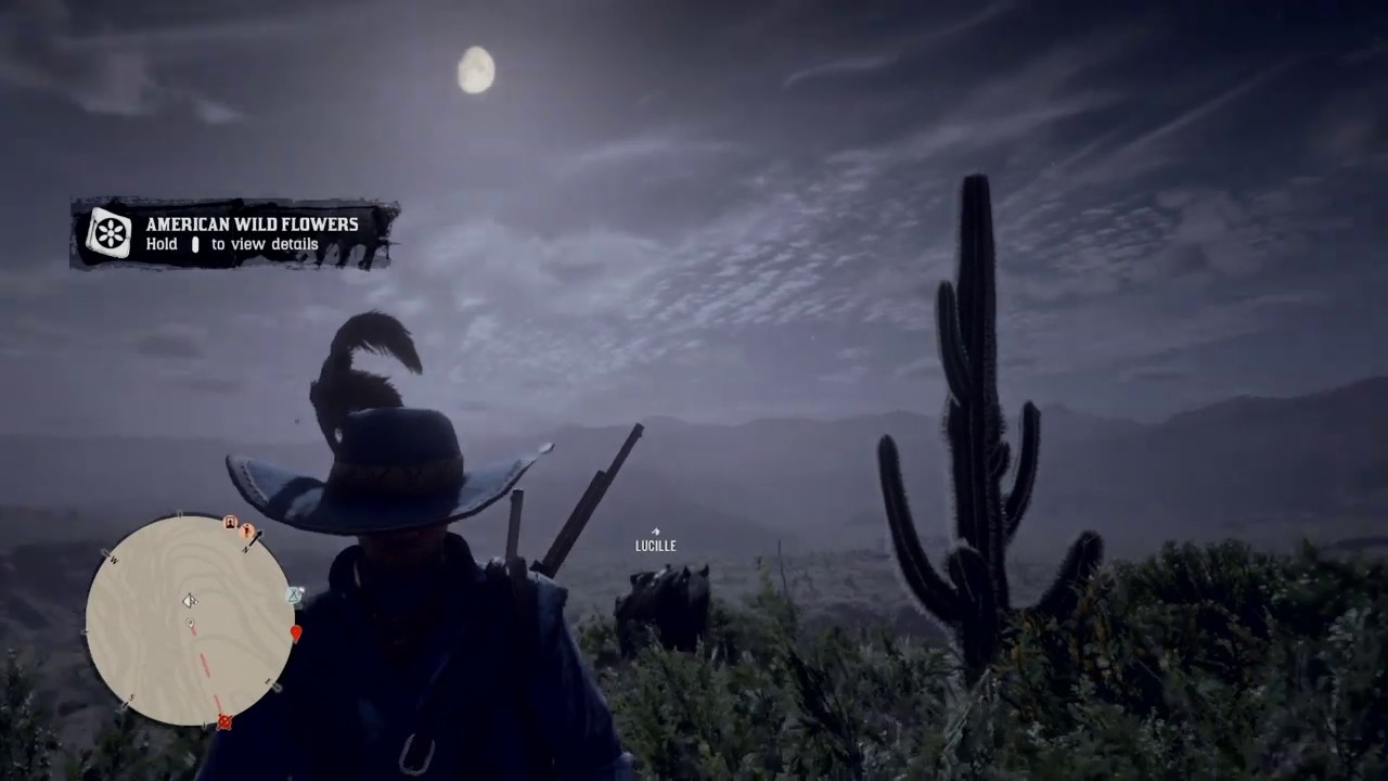 RDR2 Online Agarita Lake Don Julio YouTube