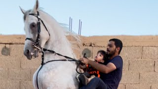 يوميات الاسطبل مشعل ومعاذ وطيران رايد والامير 😂🐎