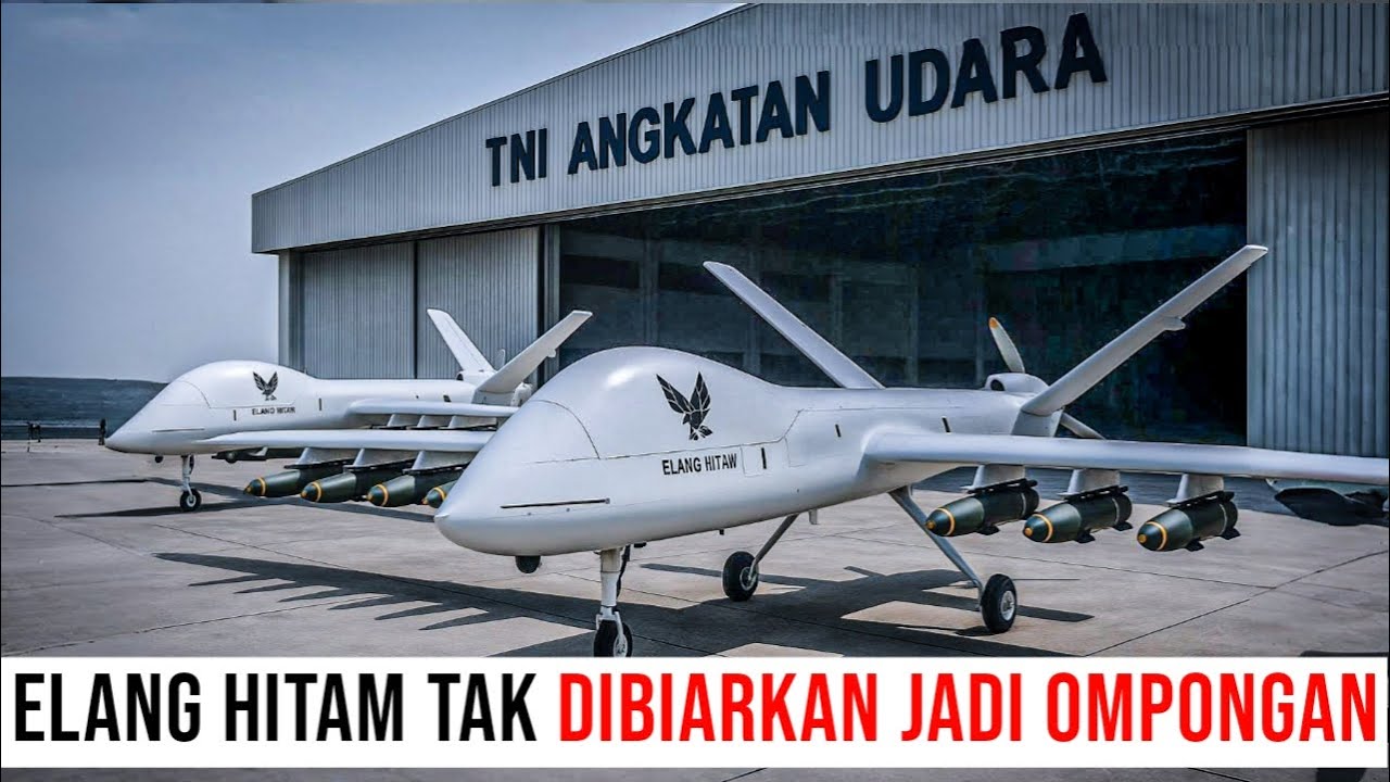 RI TIDAK RELA ELANG HITAM COMBATAN BERAKHIR JADI BURUNG PUYUH