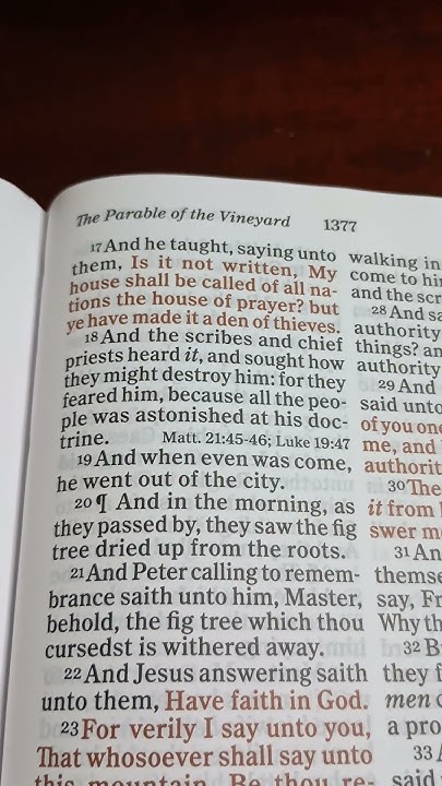Bible Reading Mark Chapter 11 Verse 17 21 YouTube bible-reading-mark-chapter-11-verse-17-21-youtube