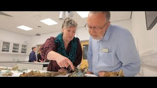 The Melsonby Hoard – funding the find