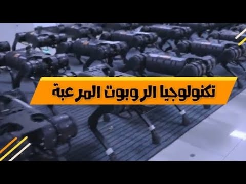 🚨😱عاجل تكنولوجيا الروبوت المرعبه |كلاب آليه مدربه علي القتال افضل من القناصه _وهل يحارب الانسان. ه..