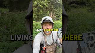 Day of hanging trail cams