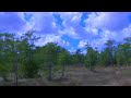 Florida Landscape Footage