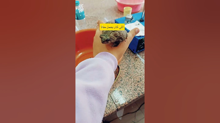 يوم في حياة طالبة طب قصر العيني