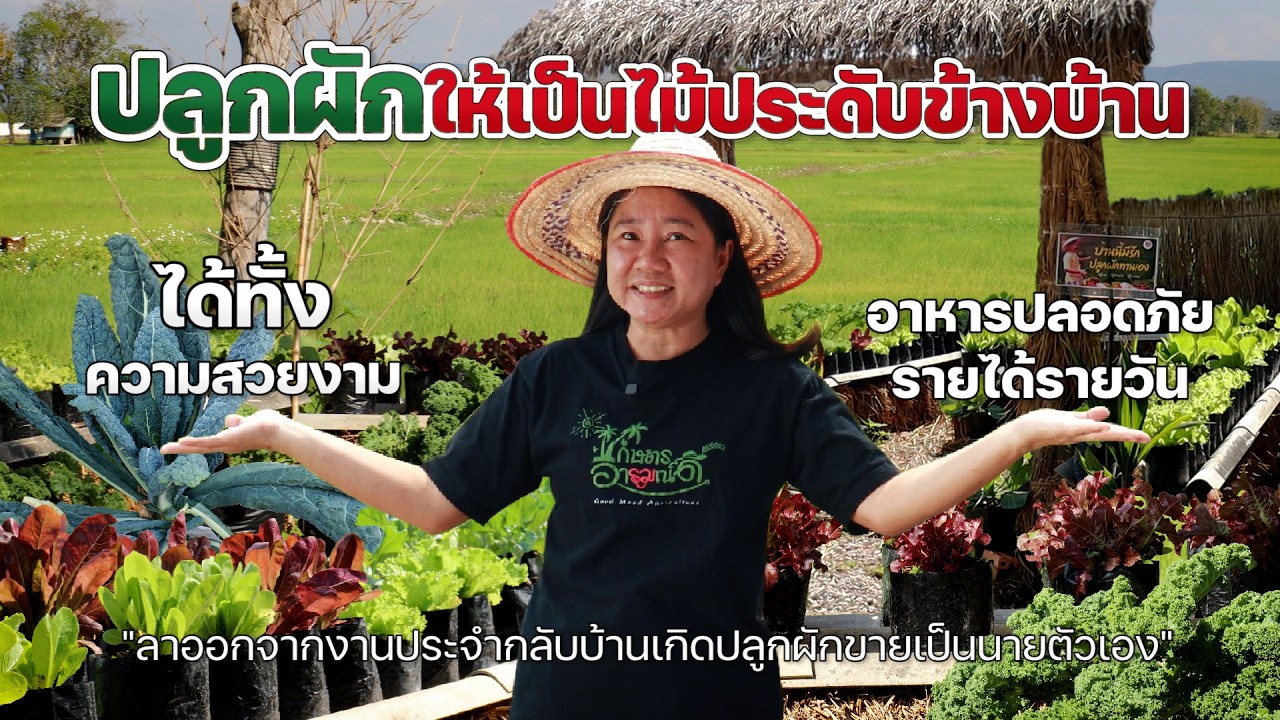 ปลูกผักให้เป็นไม้ประดับข้างบ้าน ได้ทั้งความสวยงามอาหารปลอดภัยรายได้รายวัน #เกษตรอารมณ์ดี