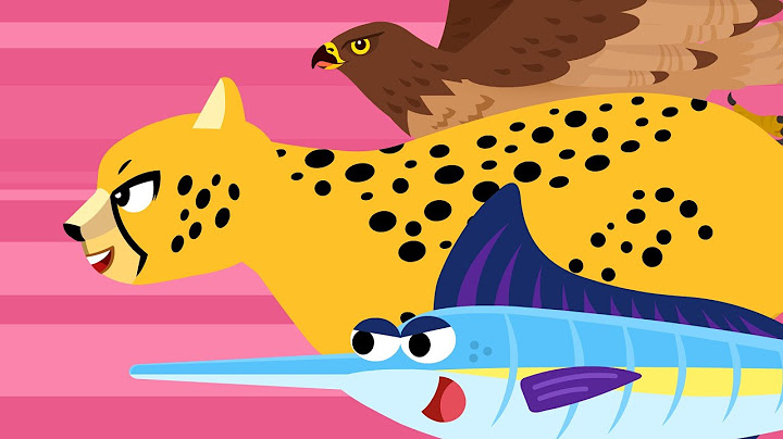 I'm the Fastest | Animal Speed Race: Cheetah, Hawk | Sing Along to Nursery Rhymes & Kids Song