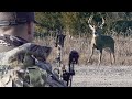 AGGRESSIVE BOWHUNTING ON THE GROUND - Whitetail Hunting