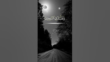 قرآن كريم بصوت جميل|القارئ بيشه وا قادر الكردي