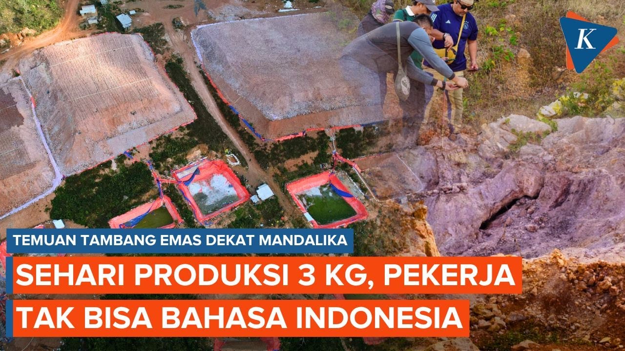 Tambang Emas Ilegal Dekat Mandalika: Sehari Produksi 3 Kg, Pekerja Tak Bisa Bahasa Indonesia
