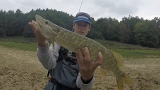 Pêche du brochet et de la perche au leurre de surface | n°2 | Partie 1