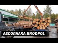 Линия лесопиления BRODPOL Длина бревен 6 м 460 мм (2019 год) (SAWMILL LINE BRODPOL)