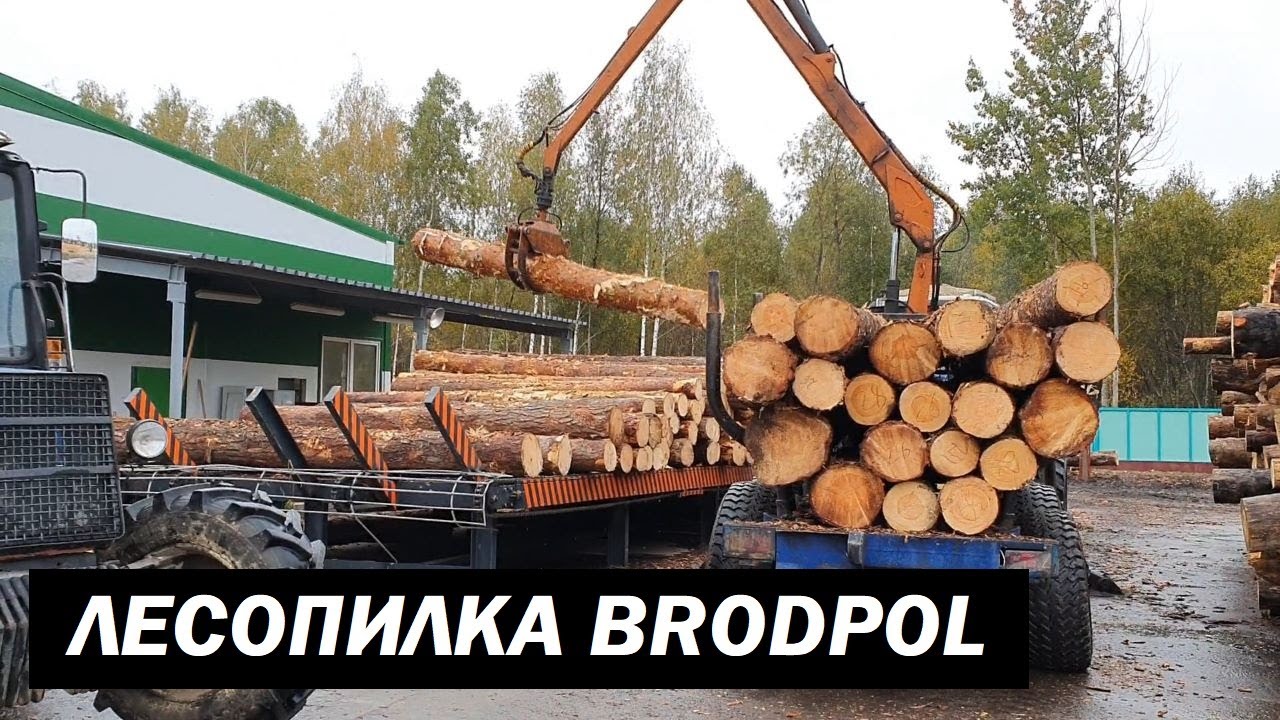 Линия лесопиления BRODPOL Длина бревен 6 м 460 мм (2019 год) (SAWMILL LINE BRODPOL)