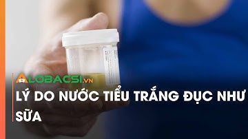 Lý do nước tiểu trắng đục như sữa