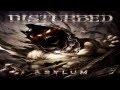 Disturbed Asylum AUDIO with lyrics