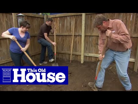 How to Landscape a Small Urban Yard – This Old House