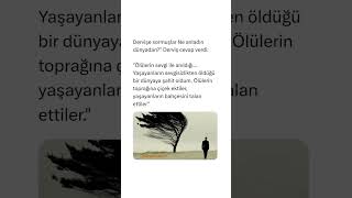 Ölülerin Toprağına Çiçek Ektiler